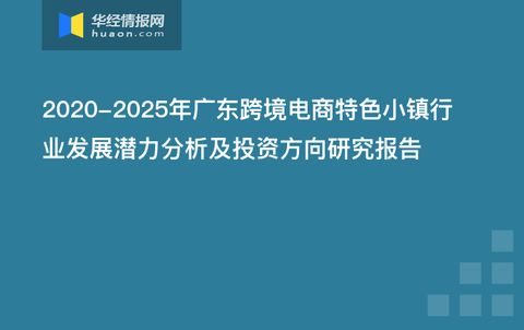 探索无投资跨境电商公司的发展路径与前景